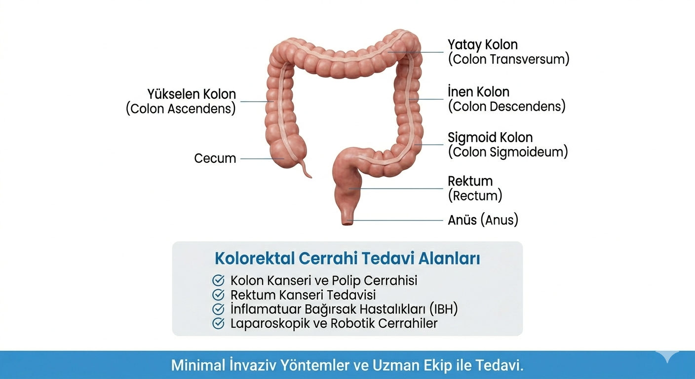 Kolorektal Kanserler