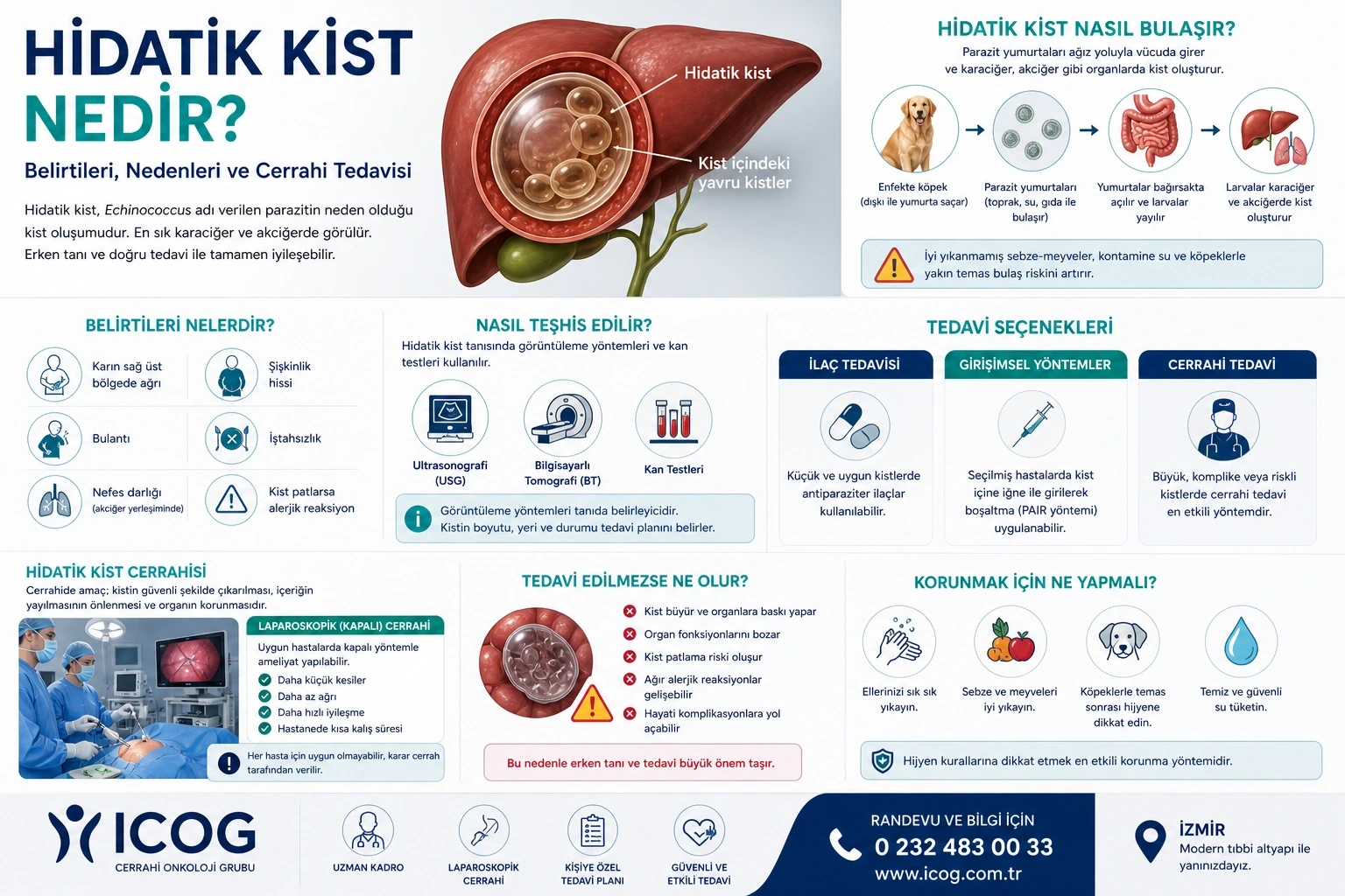 Hidatik Kist (Köpek kisti) Nedir? Belirtileri, Nedenleri ve Cerrahi Tedavisi